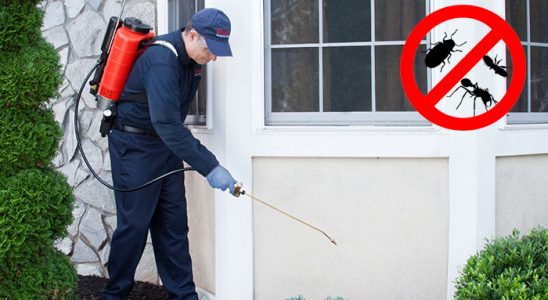 Karaisalı Haşere İlaçlama böcek ilaçlama ve haşere kontrolü — ilaclama-tr.com